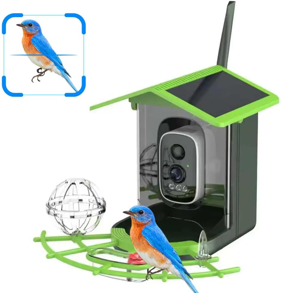 Echtzeit-Vogelbeobachtung WLAN – A1 Watches & Jewelry New York Photos Bewertung und Preis